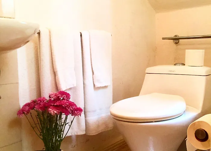 Bed and breakfast Condesa Rooms&studios 3*