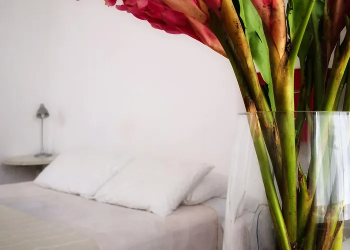 Condesa Rooms&studios Bed and breakfast